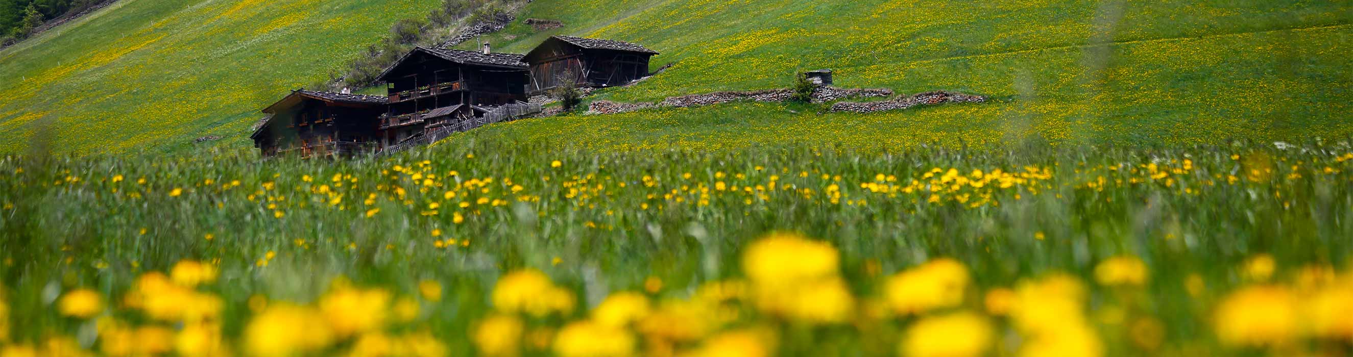 Frhling & Sommer am Anderleithof im Schnalstal in Südtirol